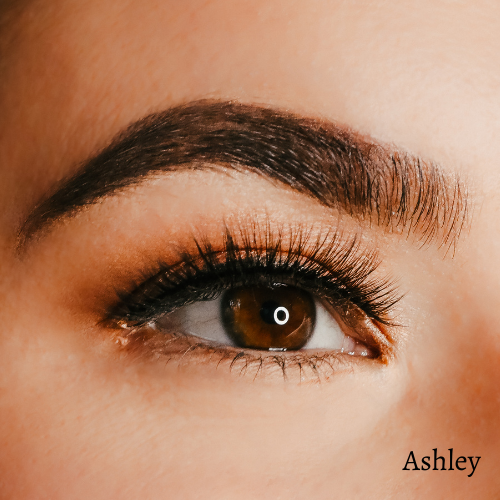 The Ashley